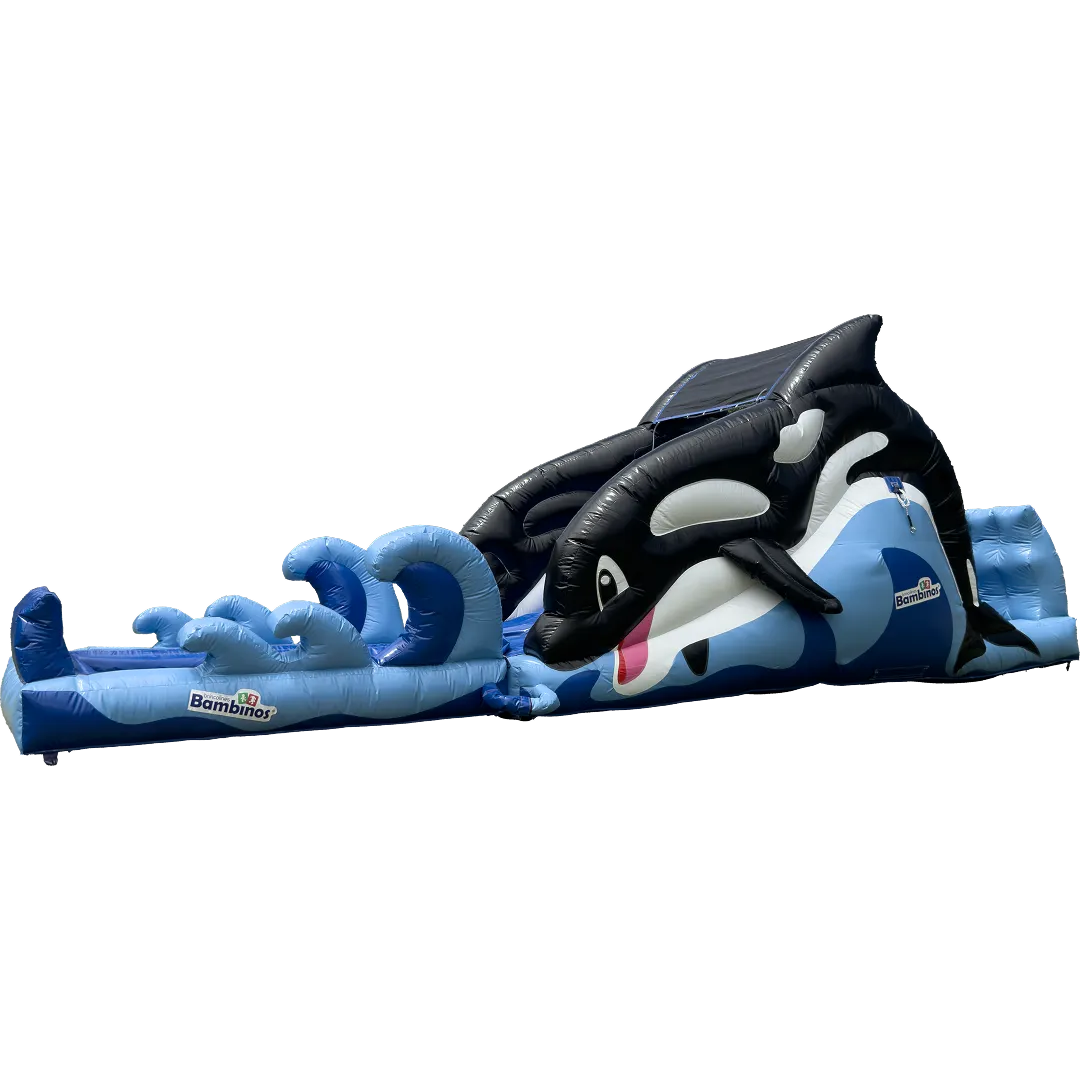 Shamu — Renta en Guadalajara | Brincolines Bambinos